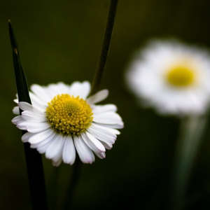 farben_der_natur-003